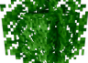 Better Leaves (Motschen’s Better Leaves)