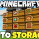 I Gave an Allay One Item… and It Changed My Entire Minecraft Loot System Forever